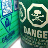 Pet Apartment Danger Safe Poison Toys